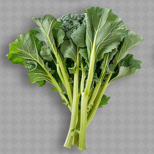 PSD a bunch of broccoli with the words broccoli on it