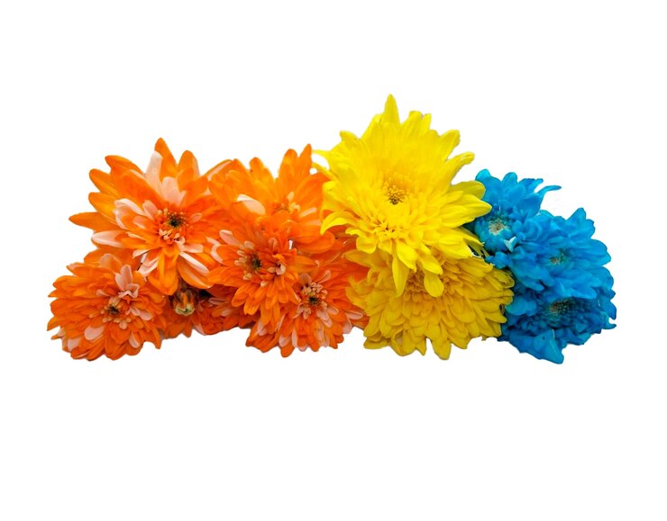 PSD a bunch of flowers with a blue and yellow one that says quot flowers quot