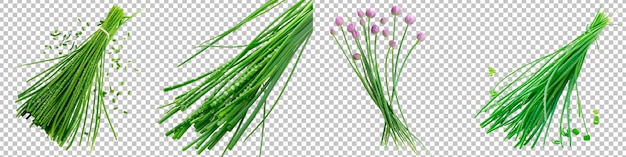 PSD bunch of fresh chives with morning dew set isolated on transparent background