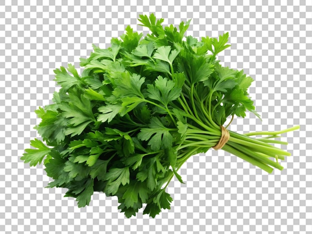 PSD bunch of fresh green parsley on transparent background