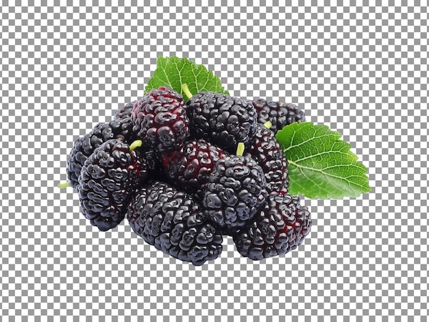Bunch of mulberries with green leaves on transparent background