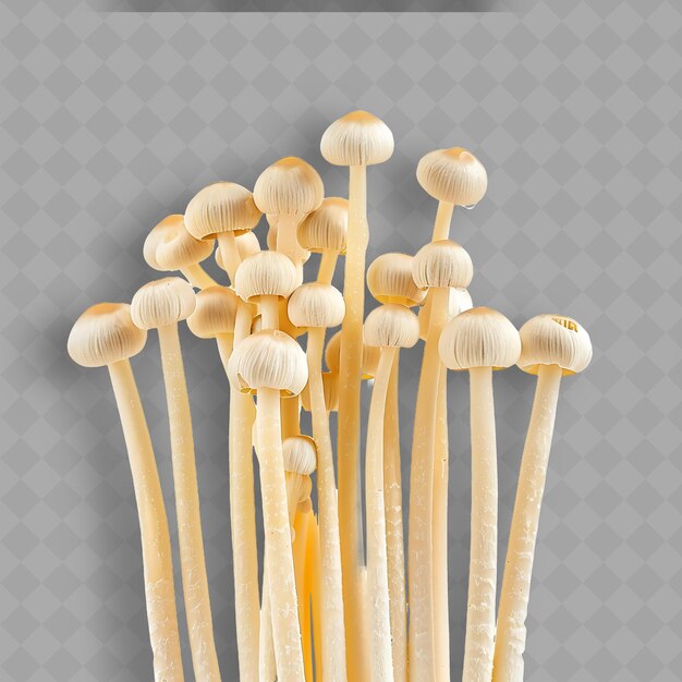 PSD a bunch of mushrooms with a background of a gray background