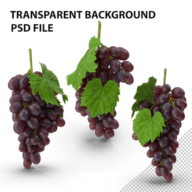 Bunch of Dark Grapes PNG