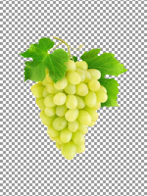 Гроздь свежего зеленого винограда на стебле с листьями на прозрачном фоне