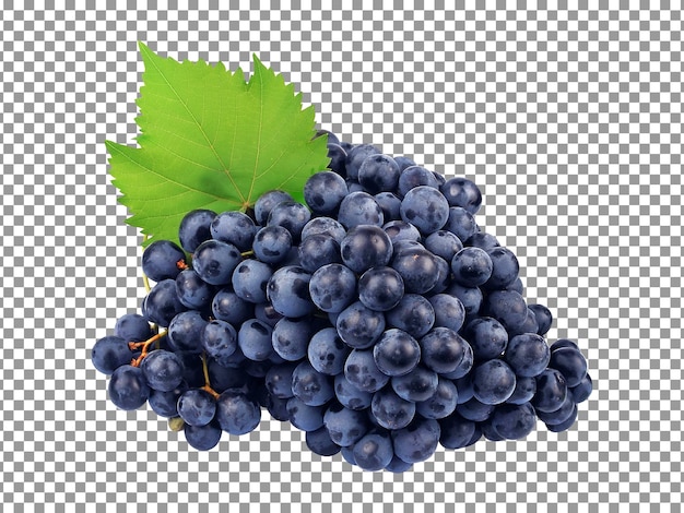 Bunch of sweet blue grapes with transparent background