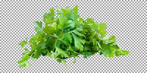 A bunch of parsley isolated on transparent background