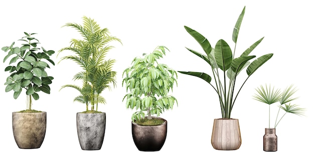 A bunch of plants in pots with one that says green