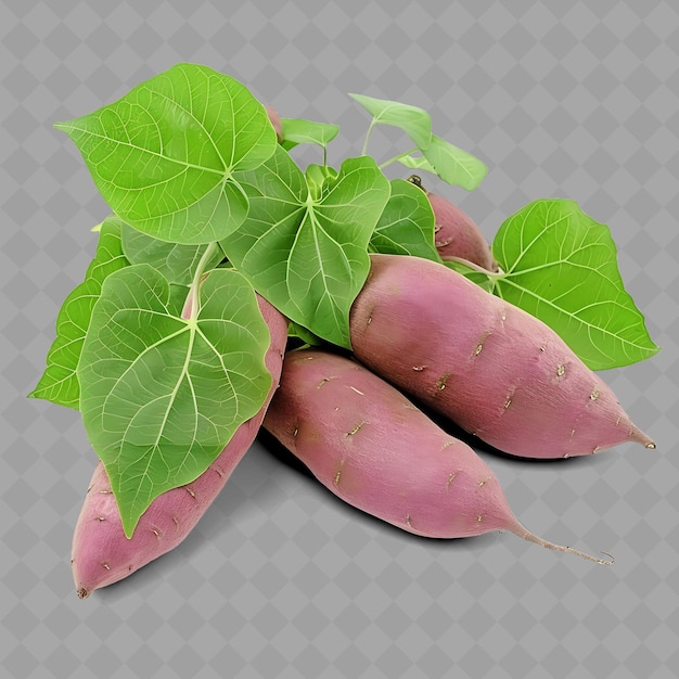 PSD a bunch of purple radishes with green leaves