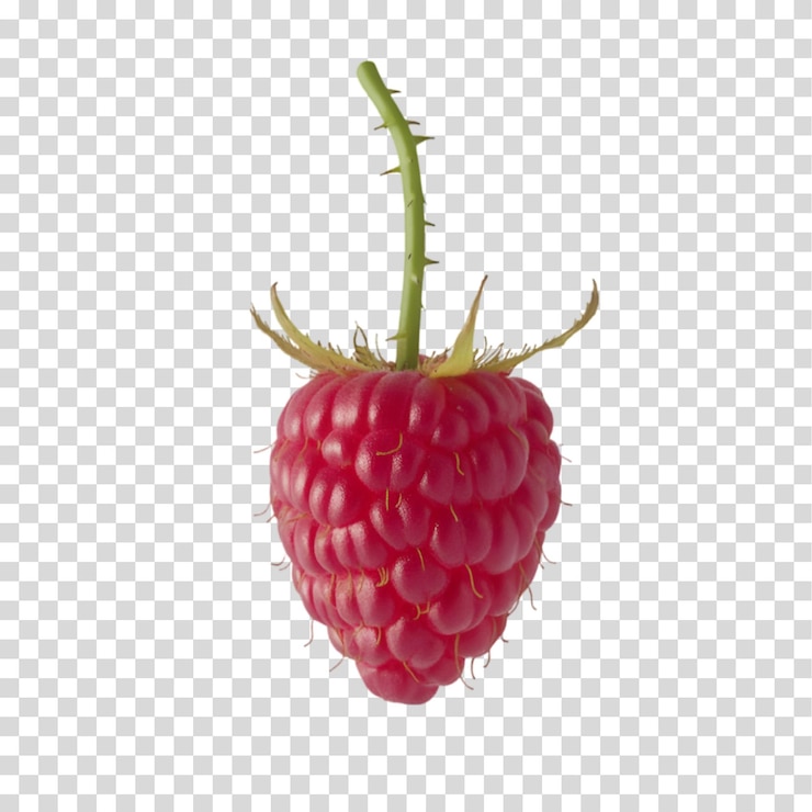 PSD a bunch of raspberries with a green leaf isolated on transparent background png cutout