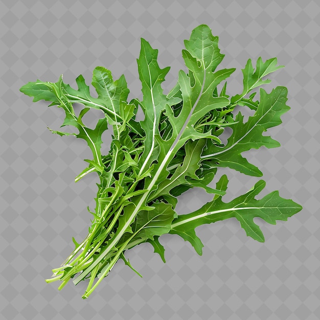 PSD a bunch of sprig of parsley is shown on a transparent background