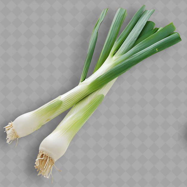 PSD a bunch of white flowers with green stems and stems