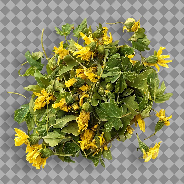 PSD 一束黃色花,上面寫著"花"的字樣