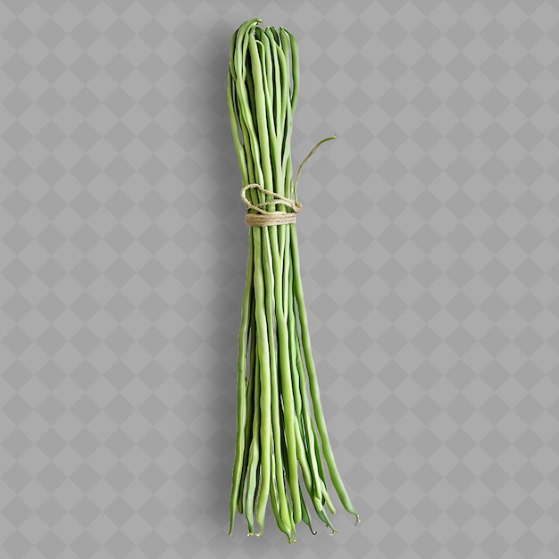 PSD a bundle of celery tied with string