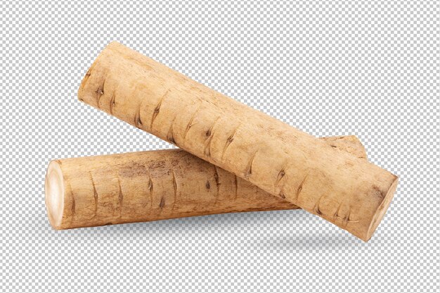 Burdock roots or kobo isolated on alpha layer background