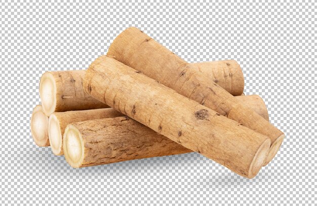 Burdock roots or kobo isolated on alpha layer background