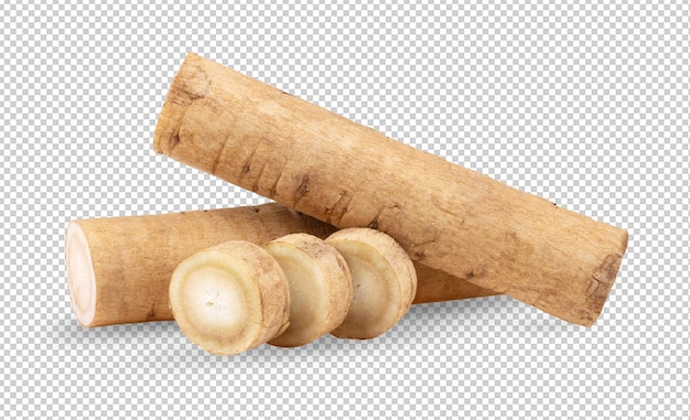 PSD burdock roots or kobo isolated on alpha layer background