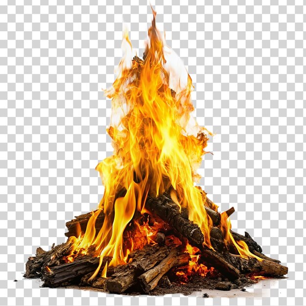 PSD burning bonfire with wood on transparent background