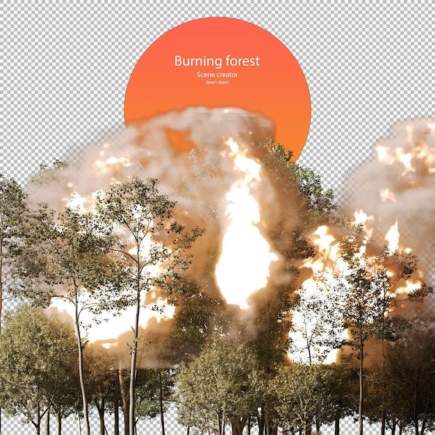 burning forest burning trees burning forest isolated