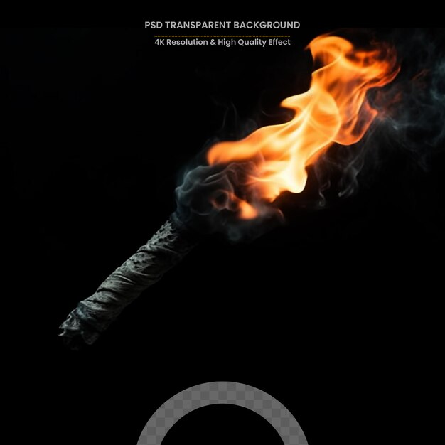 PSD burning torch in the night at black background