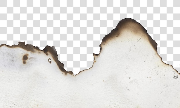 Burnt Edge Paper on transparent background