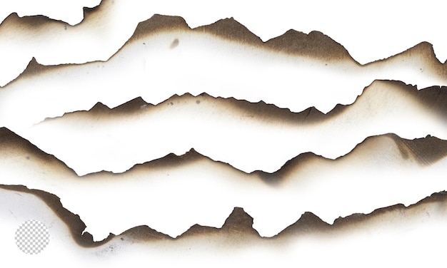 PSD burnt edge paper on transparent background