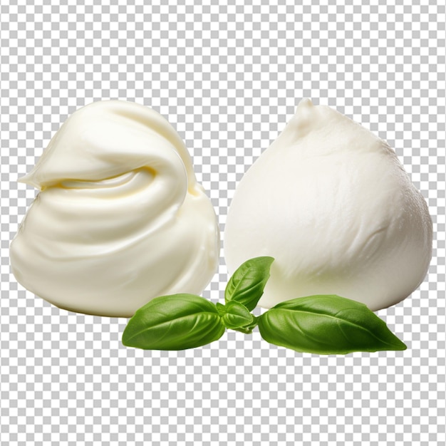 Burrata vs mozzarella on white background