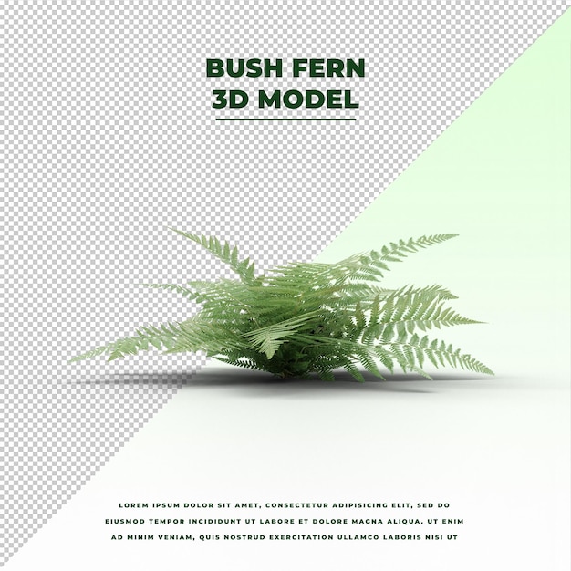 PSD bush fern