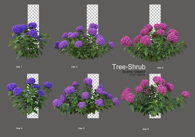Bushes and flowers of various types and shapes