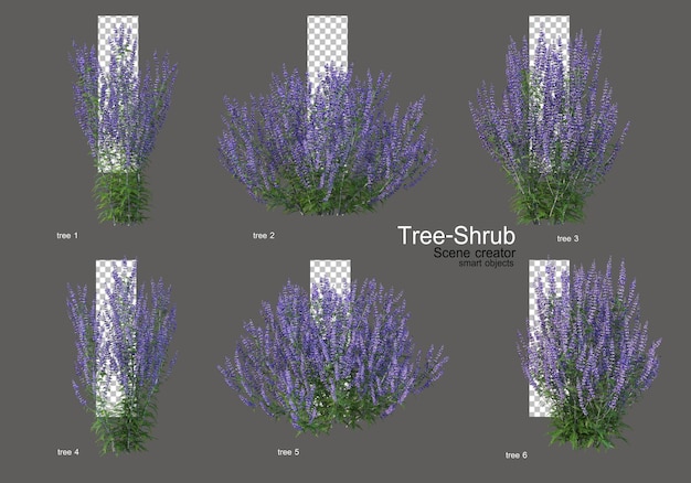 さまざまな種類や形の茂みや花