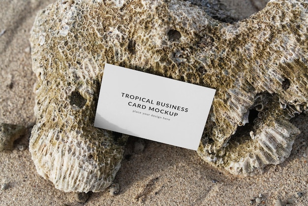 PSD business card mockup on coral