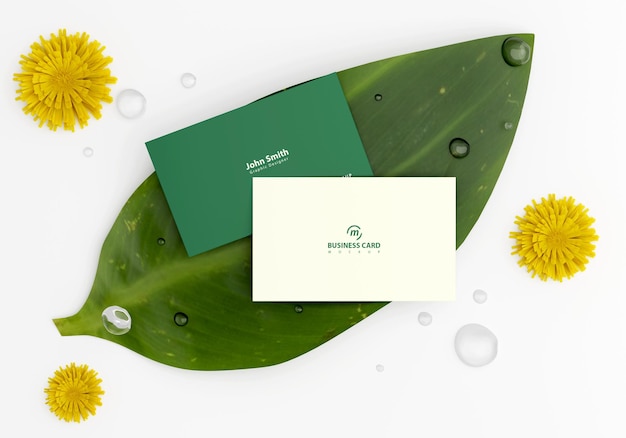 Business card mockup on leaves