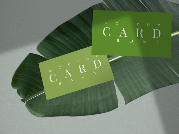 Макет визитной карточки с листом природы и тенью шаблон дизайна макета для брендинга презентации 3d renderingxa