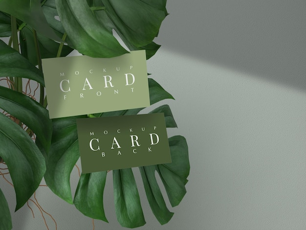 Business card mockup with nature leaf and shadow Mockup design template for presentation branding 3d RenderingxA