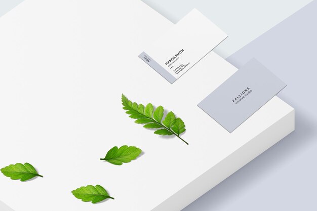 PSD business card mockup