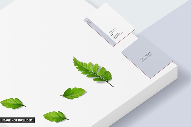 PSD business card mockup