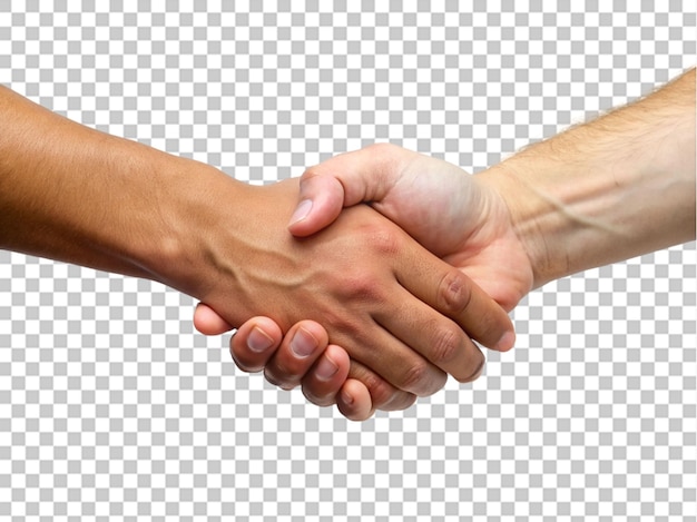 Business hand shake on transparent background