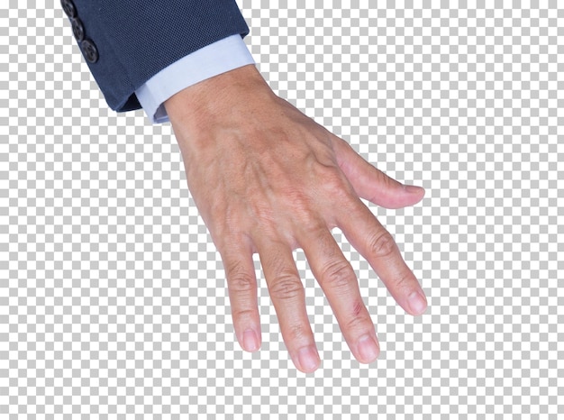 Businessman hand isolated