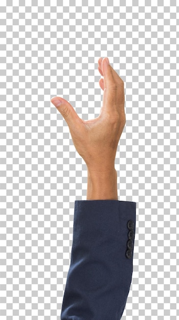 Businessman hand isolated