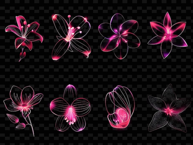 PSD butterflies on a black background with pink and purple colors