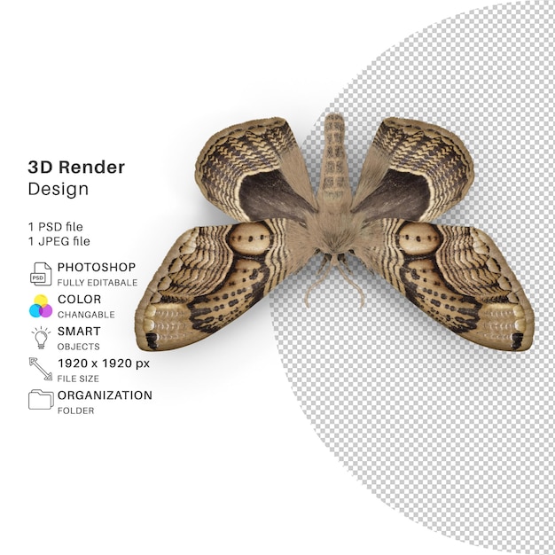 Butterfly 3d modeling psd file realistic butterfly