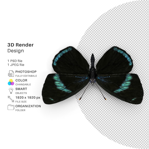 File psd di modellazione 3d di farfalle farfalla realistica