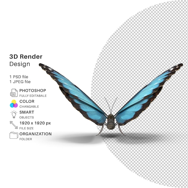 PSD butterfly 3d modeling psd file realistic butterfly