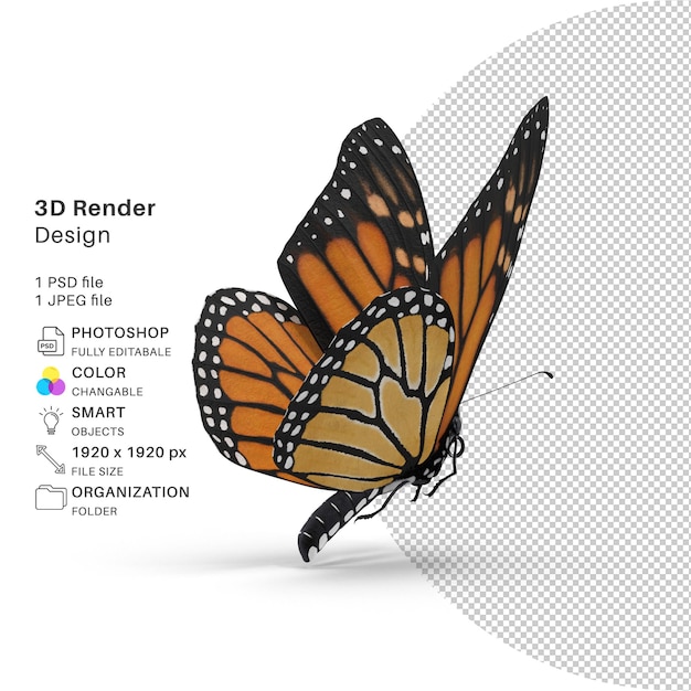 Butterfly 3d modeling psd file realistic butterfly