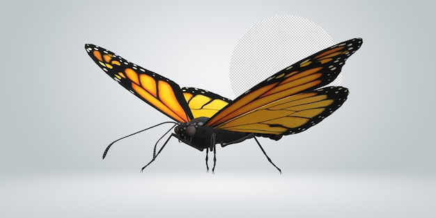 PSD Бабочка изолирована на прозрачном фоне
