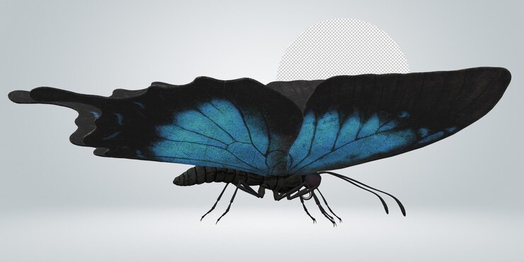 PSD butterfly isolated on a transparent background