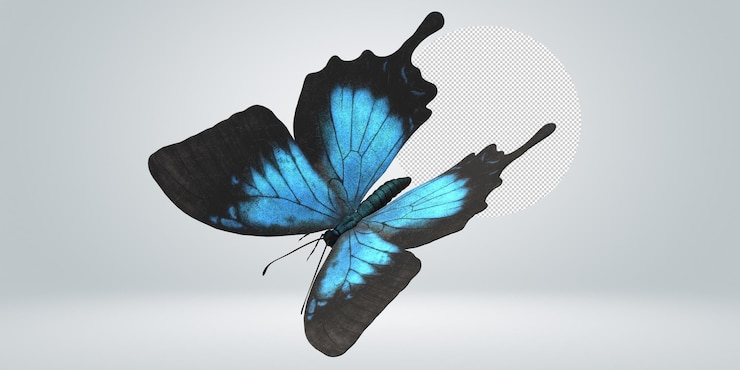 PSD butterfly isolated on a transparent background