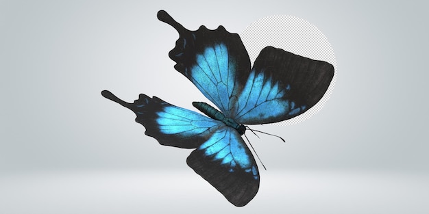 PSD butterfly isolated on a transparent background