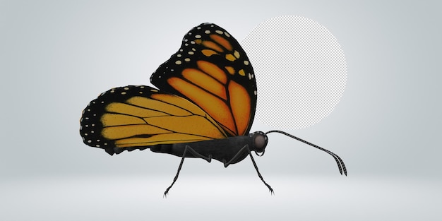 PSD butterfly isolated on a transparent background