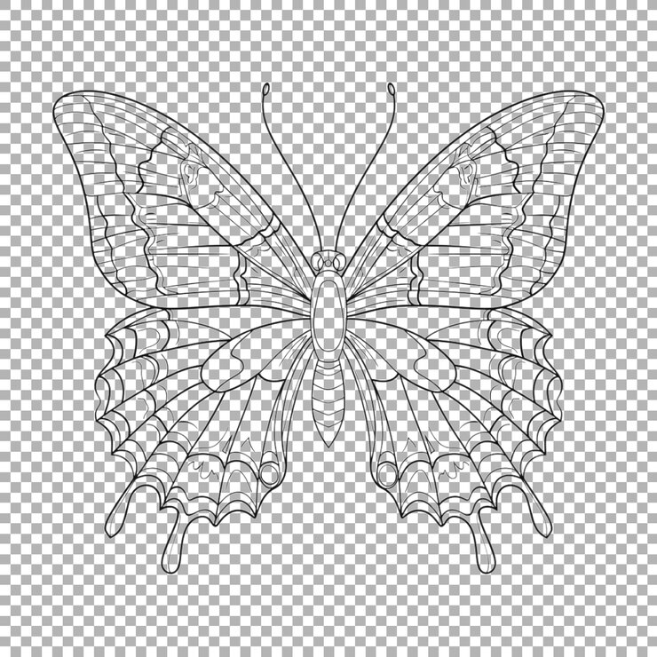 PSD butterfly sketch art on transparent background ai generated