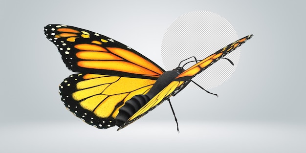 A butterfly that is yellow and black